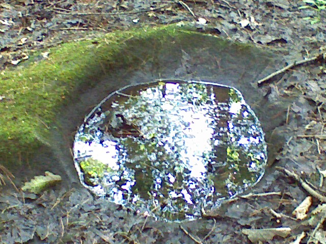 0625001742b.jpg